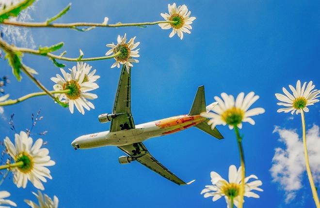 Самолет Azur Air в небе
