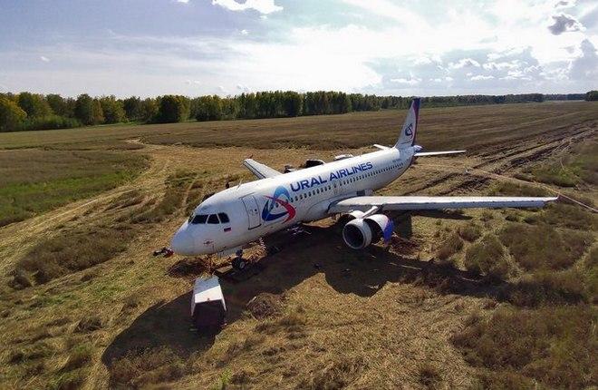 Самолет A320 «Уральских авиалиний» останется на пшеничном поле под Новосибирском еще несколько месяцев