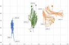 Процент занятости пассажирских кресел относительно средней длины маршрута