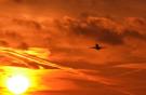 Самолет Superjet 100 в небе над Шереметьево