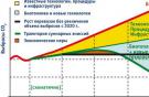 Об эффективности включения авиации в EU ETS