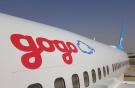 Провайдер связи для авиации Gogo получил предложения о покупке компании