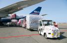 За пять лет доходы авиакомпаний от грузовых перевозок сократились более чем на 20%